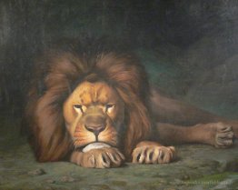Nominor Leo