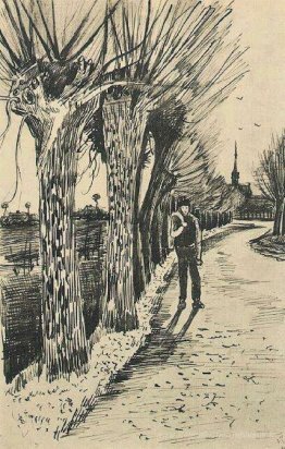 Route avec Pollard Willows