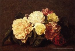 Des roses