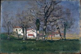 Ferme dans les arbres