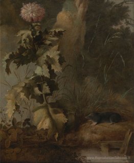 Un pavot égyptien et une taupe à eau