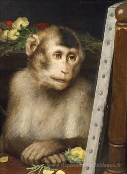 Singe
