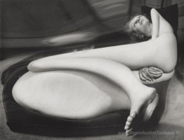 Distorsion n ° 40