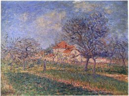 Arbres en fleurs
