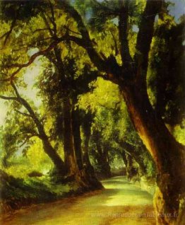Une ruelle à Albano