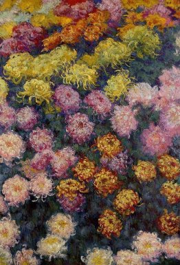 Lit de chrysanthemums