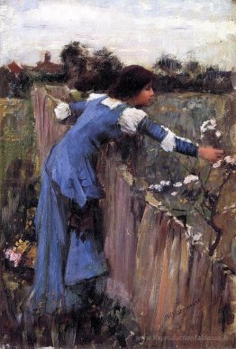 Le cueilleur de fleurs