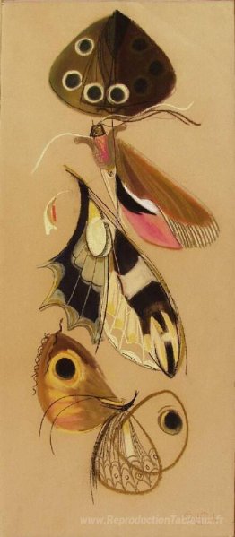 Papillons