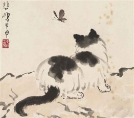 Chaton avec papillon