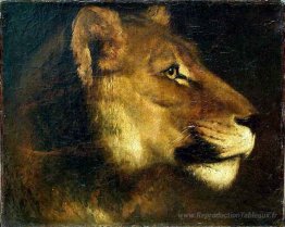 Chef de la lionne