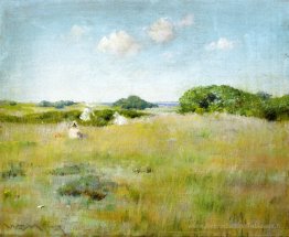 Une journée d'été