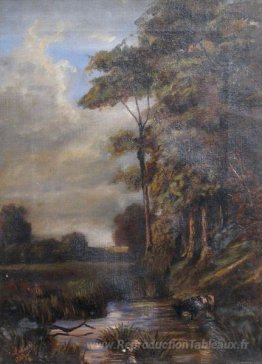 Paysage