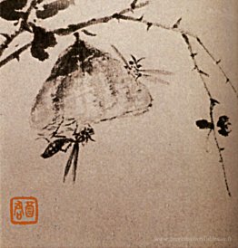 Études sur les insectes, les guêpes