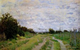 Lane dans les vignobles d'Argenteuil