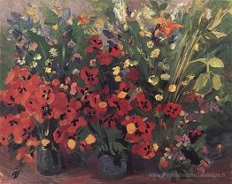 Coquelicots