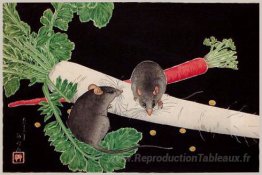 Radis, rats et carottes japonais