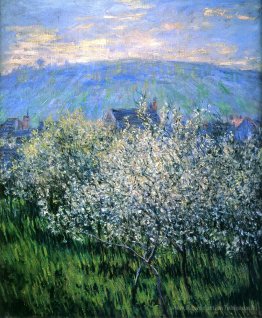 Les prunes fleurissent