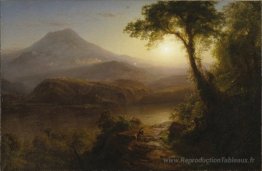 Paysage tropical