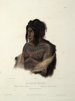 Mahsette-Kuiuab, chef des Indiens Cree, planche 22 du volume 1 d