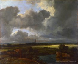 Weite landschaft mit zerser