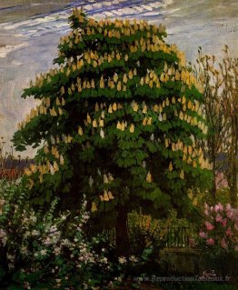 Le châtaignier en fleur