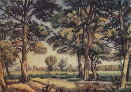 Des arbres