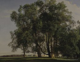 Paysage prater