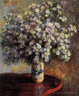 Aster
