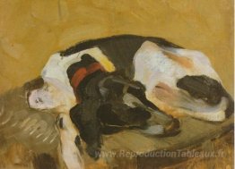 Chien