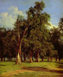 Old Elms à Prater
