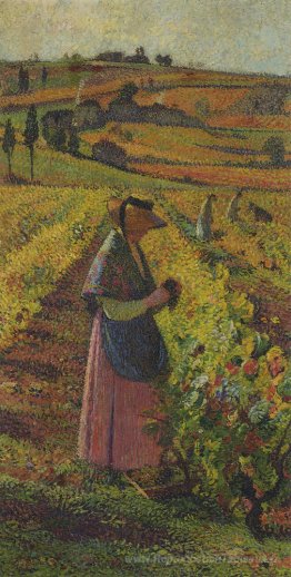 La moisson