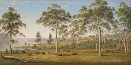 La maison de M. Robinson sur le Derwent, la terre de Van Diemen