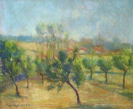 Des arbres