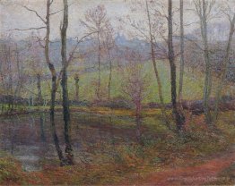 Paysage boisé