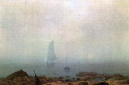 Brouillard