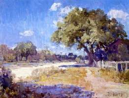 Paysage du Texas
