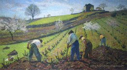 Culture des vignes