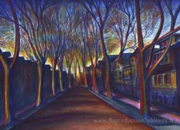 Sycamores, rue Timon