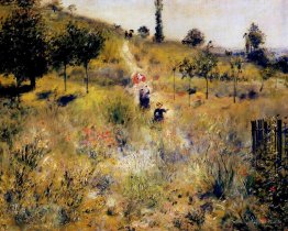 Chemin menant à travers de hautes herbes