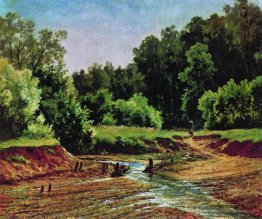 Paysage forestier
