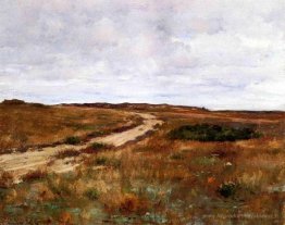 HILLS DE SHINNECOCK
