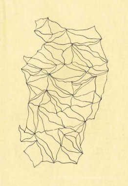 Graphomanie entopique