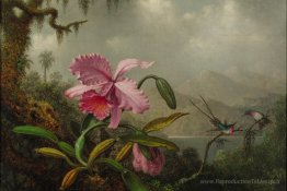 Orchidées et colibris