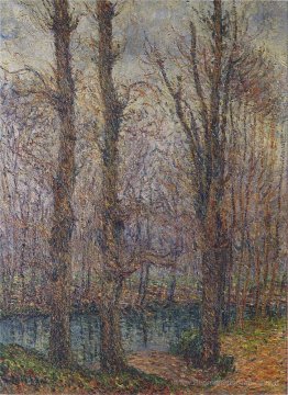 Arbres au bord de la rivière