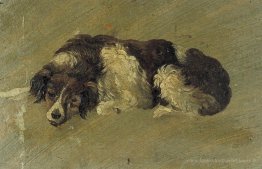 Un chien