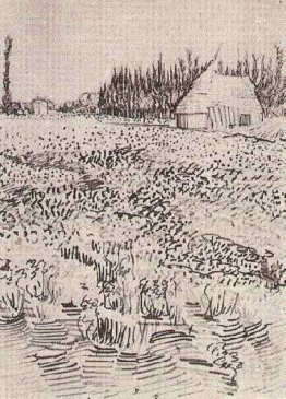 Paysage avec cabane dans la camargue