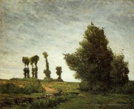 Paysage avec peuplier