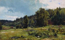 Prairie au bord de la forêt. Siverskaya