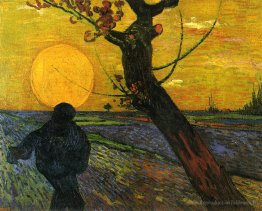 Semer avec le soleil couchant