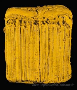 Treize Jaune